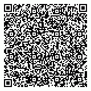 vCard 79131190811