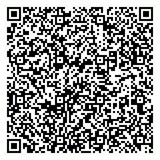 vCard 79131192001