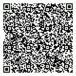 vCard 79131192003
