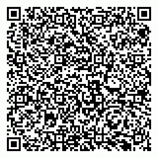 vCard 79131192011