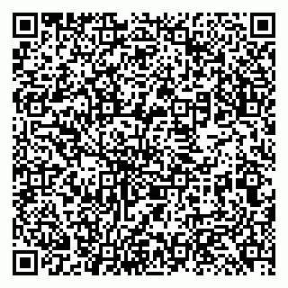 vCard 79131193003