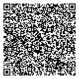 vCard 79131193020