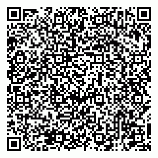 vCard 79131193263