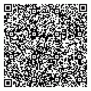 vCard 79131193294