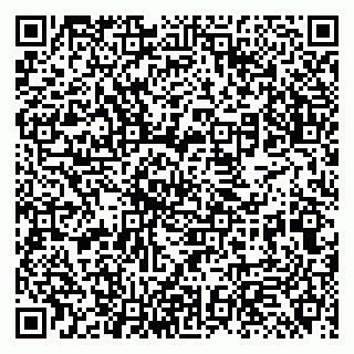 vCard 79131193303