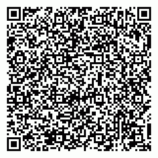 vCard 79131193333