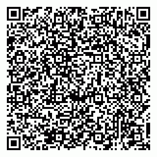 vCard 79131193370