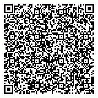 vCard 79131193602