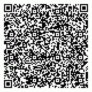 vCard 79131193720