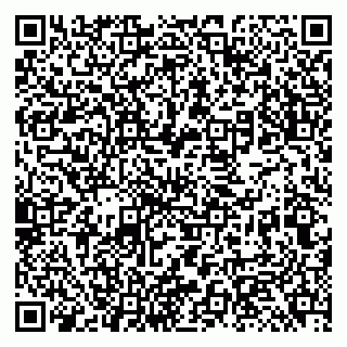 vCard 79131194100