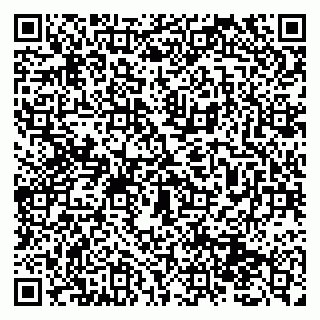 vCard 79131195000