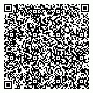vCard 79131195331