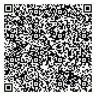 vCard 79131196000