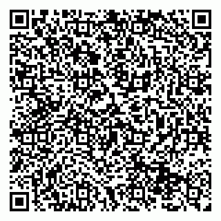vCard 79131196281