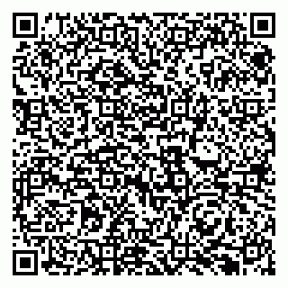 vCard 79131196294
