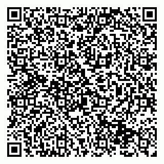 vCard 79131196325