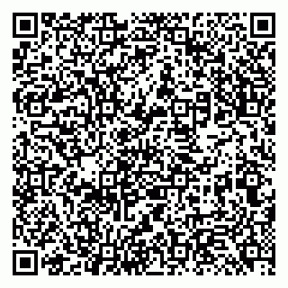 vCard 79131196331