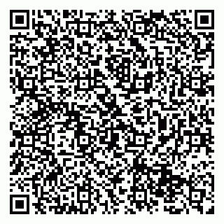 vCard 79131197253