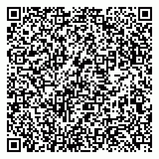 vCard 79131197294