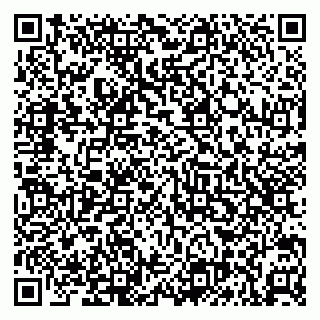 vCard 79131197331