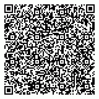 vCard 79131197393