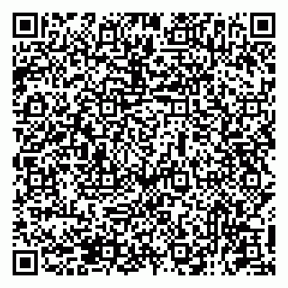 vCard 79131197411