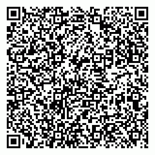 vCard 79131197800