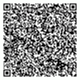 vCard 79131198335