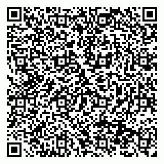 vCard 79131198833