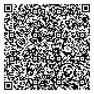 vCard 79131199220