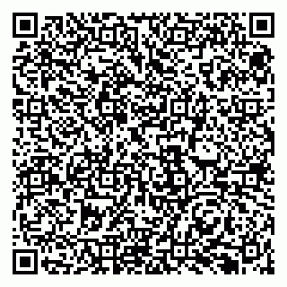 vCard 79131199268