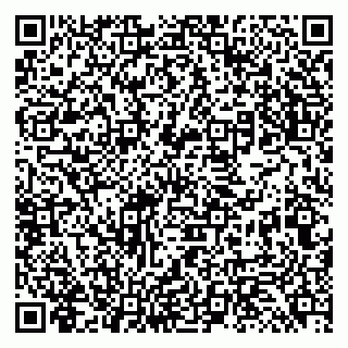 vCard 79131199294