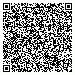 vCard 79131199331