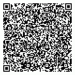 vCard 79131199355