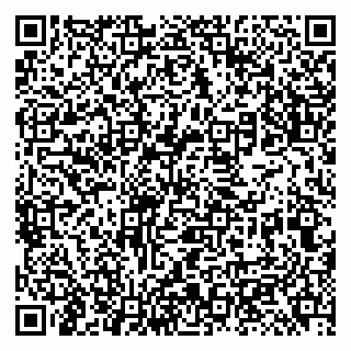 vCard 79131199502