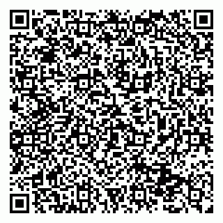 vCard 79131199503