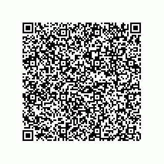 vCard 79132014037