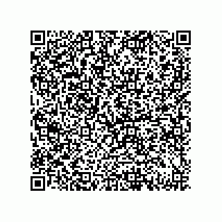 vCard 79132014403