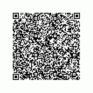 vCard 79132014438