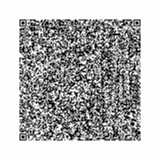 vCard 79132100334