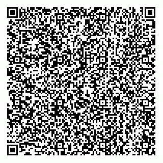 vCard 79132100380