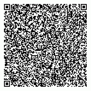 vCard 79132479394