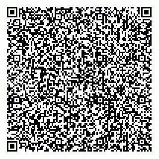 vCard 79132702556