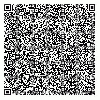 vCard 79133003107