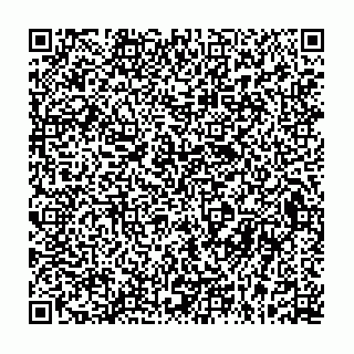 vCard 79133063264