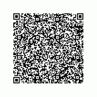 vCard 79134500003