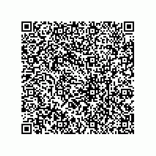 vCard 79134500029