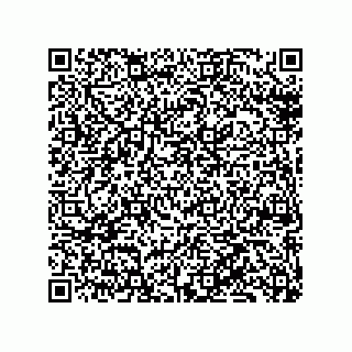 vCard 79134500201