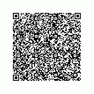vCard 79134500314