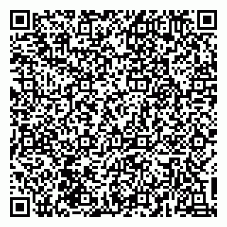 vCard 79135400015